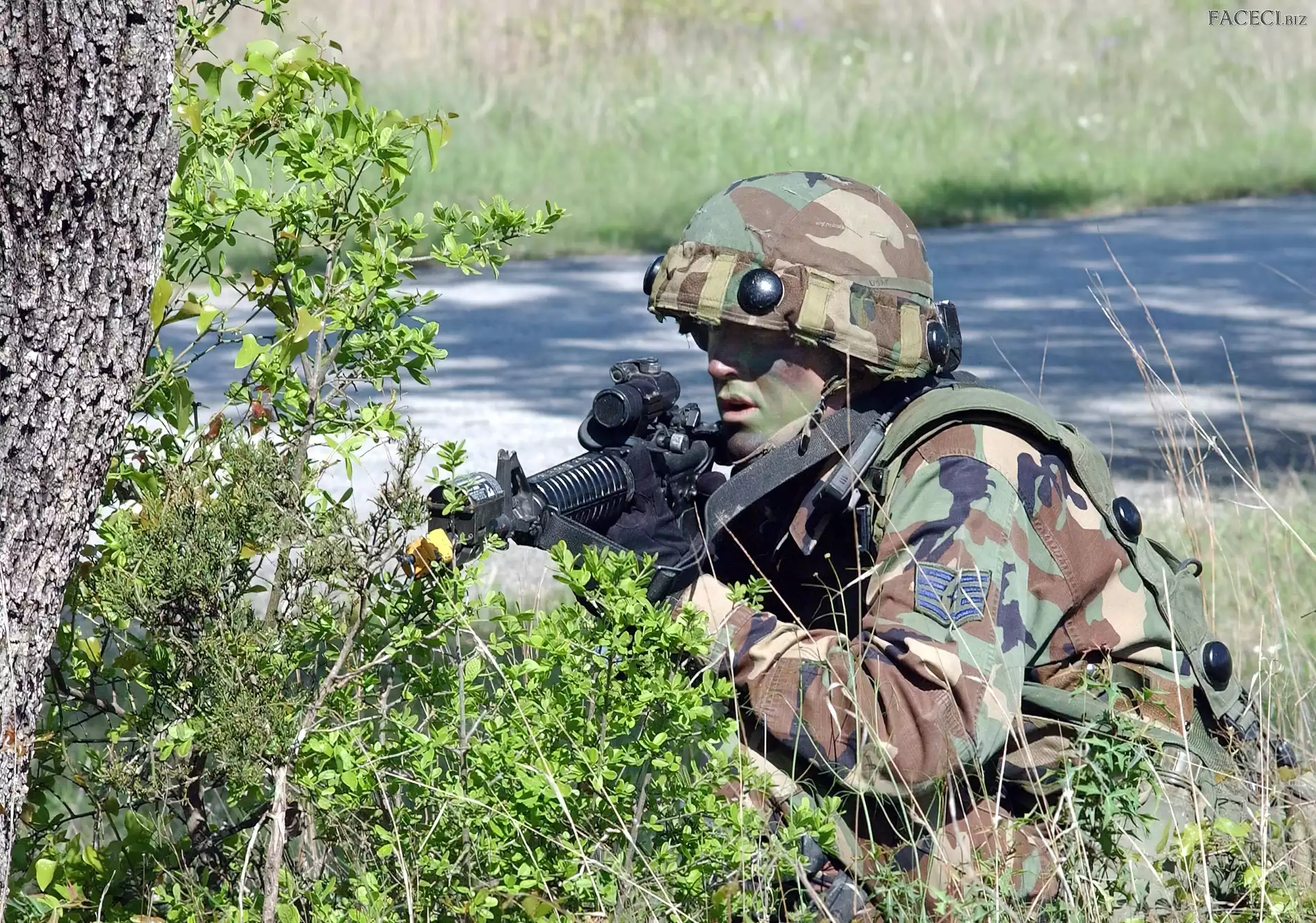 Drzewo, Żołnierz, Karabin